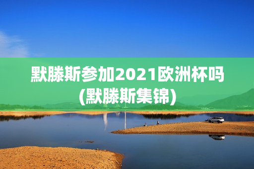 默滕斯参加2021欧洲杯吗(默滕斯集锦)