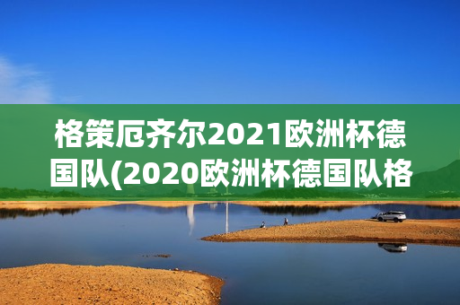 格策厄齐尔2021欧洲杯德国队(2020欧洲杯德国队格策)