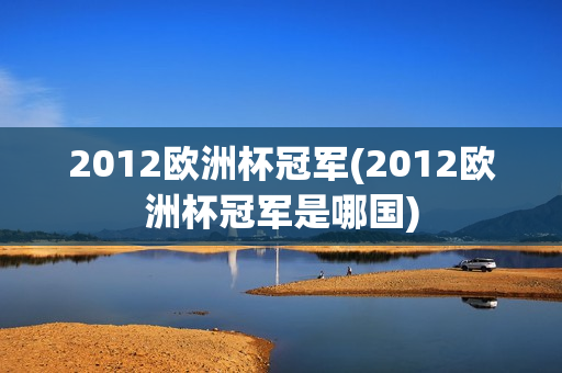 2012欧洲杯冠军(2012欧洲杯冠军是哪国)