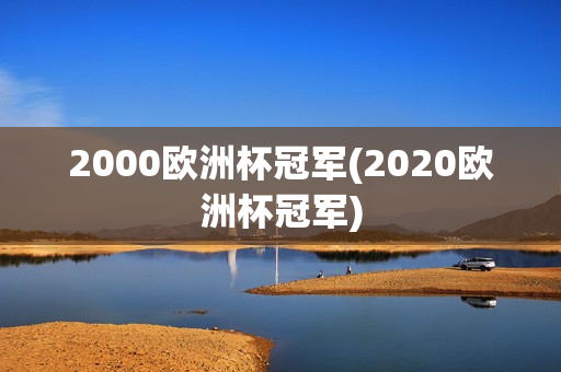 2000欧洲杯冠军(2020欧洲杯冠军)