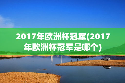 2017年欧洲杯冠军(2017年欧洲杯冠军是哪个)