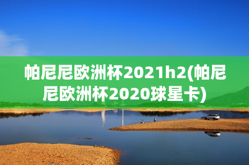 帕尼尼欧洲杯2021h2(帕尼尼欧洲杯2020球星卡)