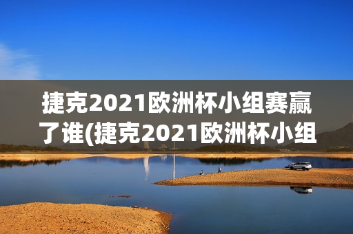 捷克2021欧洲杯小组赛赢了谁(捷克2021欧洲杯小组赛赢了谁啊)