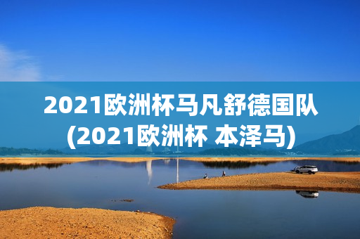 2021欧洲杯马凡舒德国队(2021欧洲杯 本泽马)