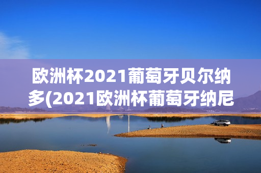 欧洲杯2021葡萄牙贝尔纳多(2021欧洲杯葡萄牙纳尼)