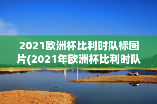 2021欧洲杯比利时队标图片(2021年欧洲杯比利时队服)