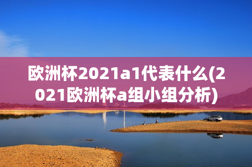 欧洲杯2021a1代表什么(2021欧洲杯a组小组分析)