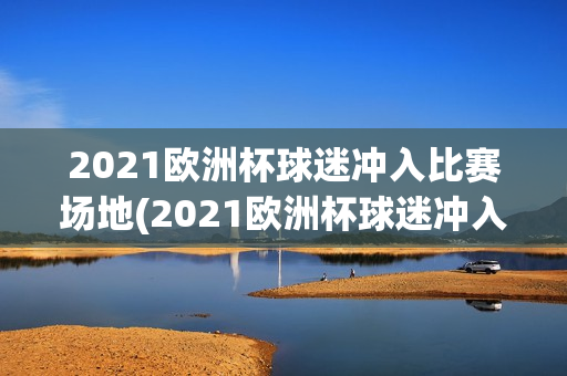 2021欧洲杯球迷冲入比赛场地(2021欧洲杯球迷冲入比赛场地视频)