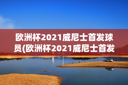 欧洲杯2021威尼士首发球员(欧洲杯2021威尼士首发球员是谁)