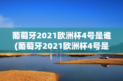 葡萄牙2021欧洲杯4号是谁(葡萄牙2021欧洲杯4号是谁的)