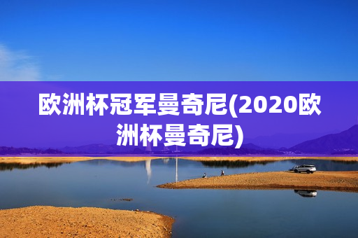 欧洲杯冠军曼奇尼(2020欧洲杯曼奇尼)