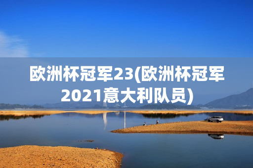 欧洲杯冠军23(欧洲杯冠军2021意大利队员)