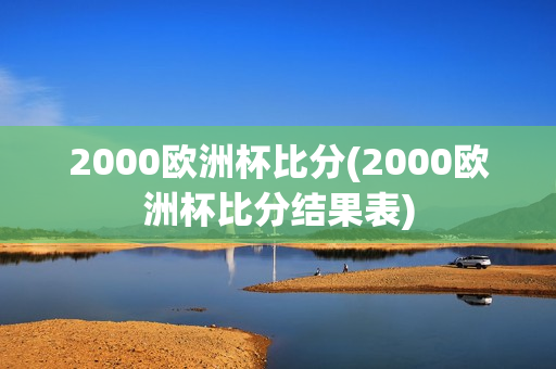 2000欧洲杯比分(2000欧洲杯比分结果表)