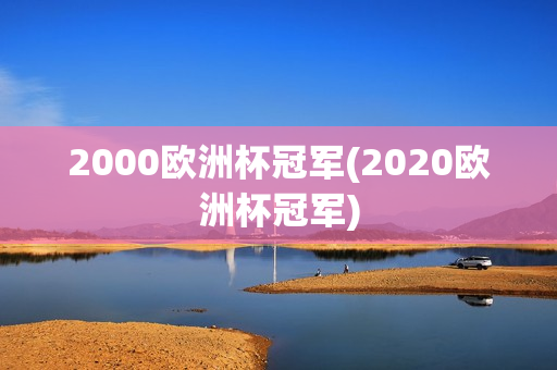 2000欧洲杯冠军(2020欧洲杯冠军)