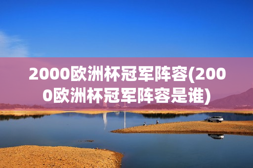 2000欧洲杯冠军阵容(2000欧洲杯冠军阵容是谁)