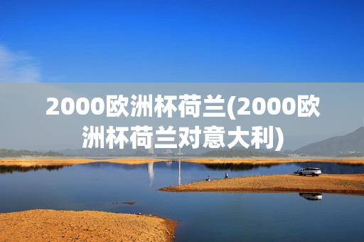 2000欧洲杯荷兰(2000欧洲杯荷兰对意大利)