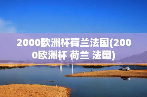 2000欧洲杯荷兰法国(2000欧洲杯 荷兰 法国)