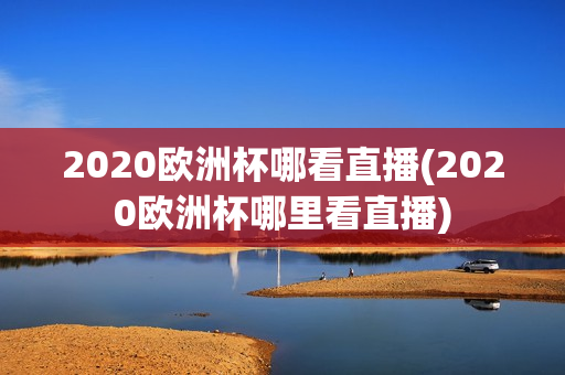 2020欧洲杯哪看直播(2020欧洲杯哪里看直播)