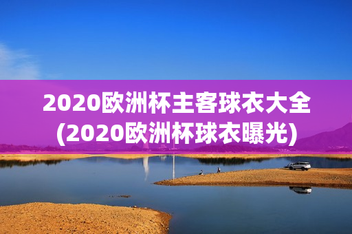 2020欧洲杯主客球衣大全(2020欧洲杯球衣曝光)