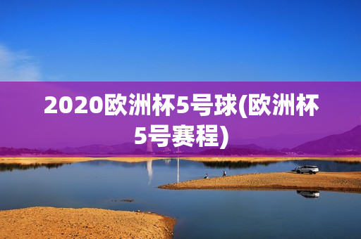 2020欧洲杯5号球(欧洲杯5号赛程)