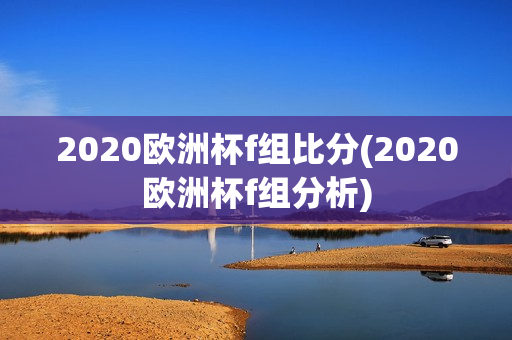 2020欧洲杯f组比分(2020欧洲杯f组分析)