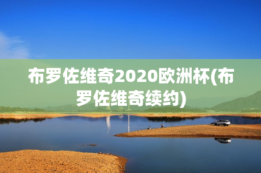 布罗佐维奇2020欧洲杯(布罗佐维奇续约)