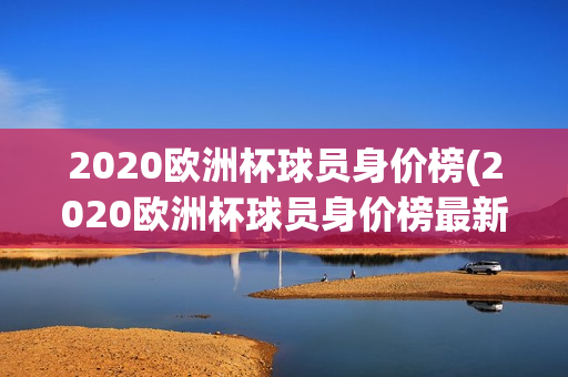 2020欧洲杯球员身价榜(2020欧洲杯球员身价榜最新)