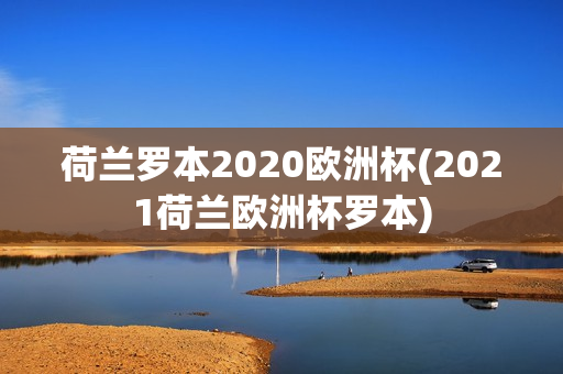 荷兰罗本2020欧洲杯(2021荷兰欧洲杯罗本)