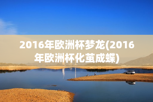 2016年欧洲杯梦龙(2016年欧洲杯化茧成蝶)