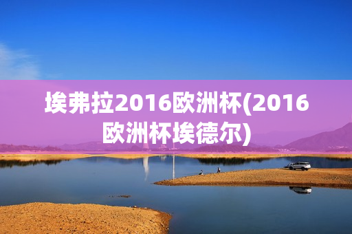 埃弗拉2016欧洲杯(2016欧洲杯埃德尔)