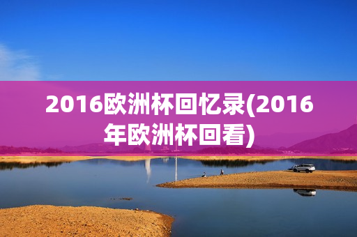 2016欧洲杯回忆录(2016年欧洲杯回看)