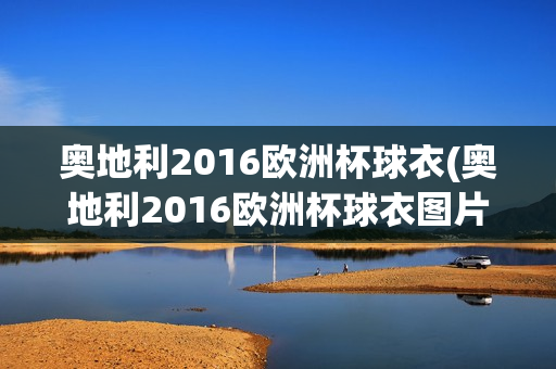 奥地利2016欧洲杯球衣(奥地利2016欧洲杯球衣图片)