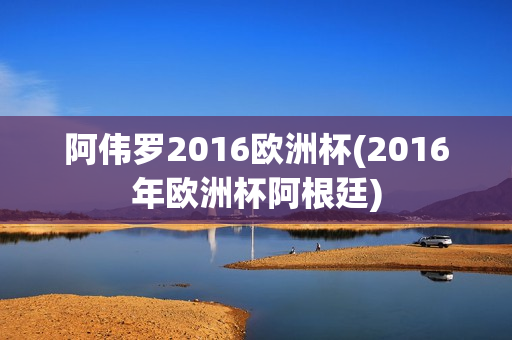 阿伟罗2016欧洲杯(2016年欧洲杯阿根廷)