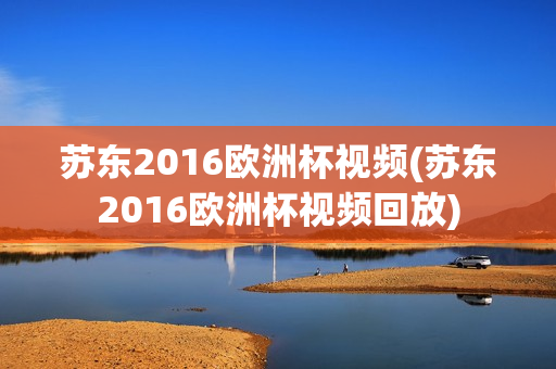 苏东2016欧洲杯视频(苏东2016欧洲杯视频回放)