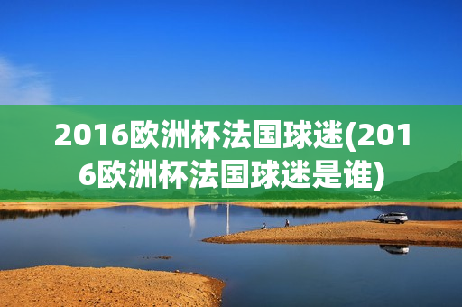 2016欧洲杯法国球迷(2016欧洲杯法国球迷是谁)