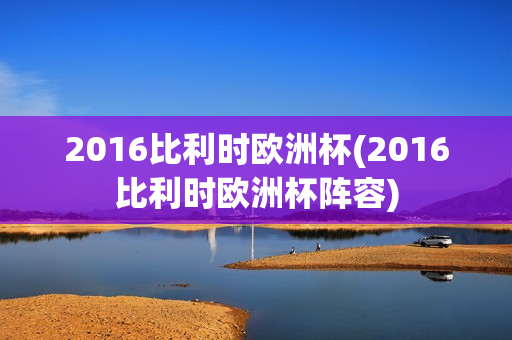 2016比利时欧洲杯(2016比利时欧洲杯阵容)