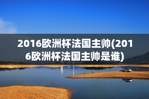 2016欧洲杯法国主帅(2016欧洲杯法国主帅是谁)