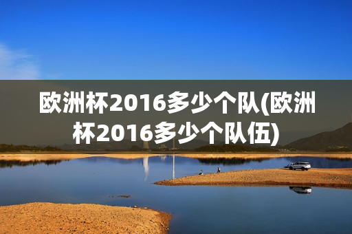 欧洲杯2016多少个队(欧洲杯2016多少个队伍)