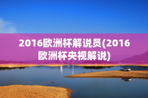 2016欧洲杯解说员(2016欧洲杯央视解说)