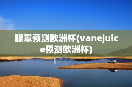 眼罩预测欧洲杯(vanejuice预测欧洲杯)