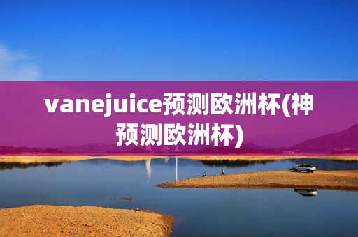 vanejuice预测欧洲杯(神预测欧洲杯)