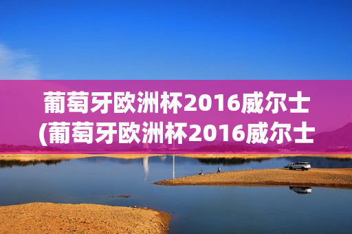 葡萄牙欧洲杯2016威尔士(葡萄牙欧洲杯2016威尔士战绩)