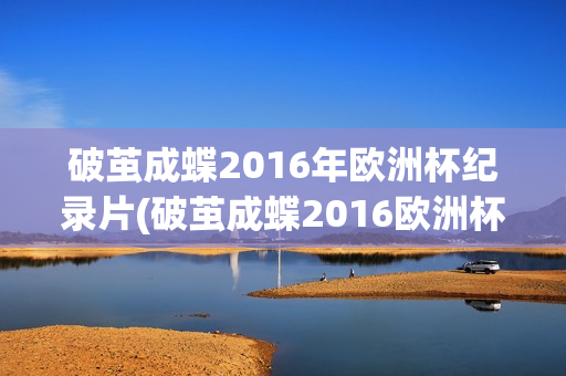 破茧成蝶2016年欧洲杯纪录片(破茧成蝶2016欧洲杯纪录片 高清)