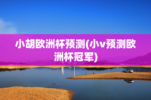 小胡欧洲杯预测(小v预测欧洲杯冠军)