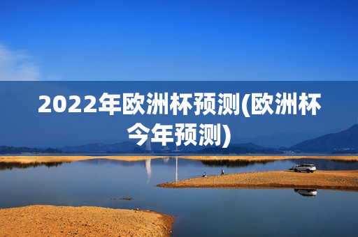 2022年欧洲杯预测(欧洲杯今年预测)