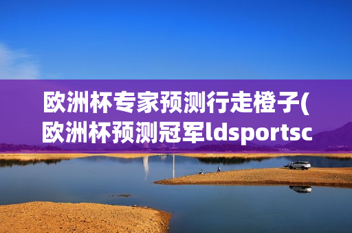 欧洲杯专家预测行走橙子(欧洲杯预测冠军ldsportsc)